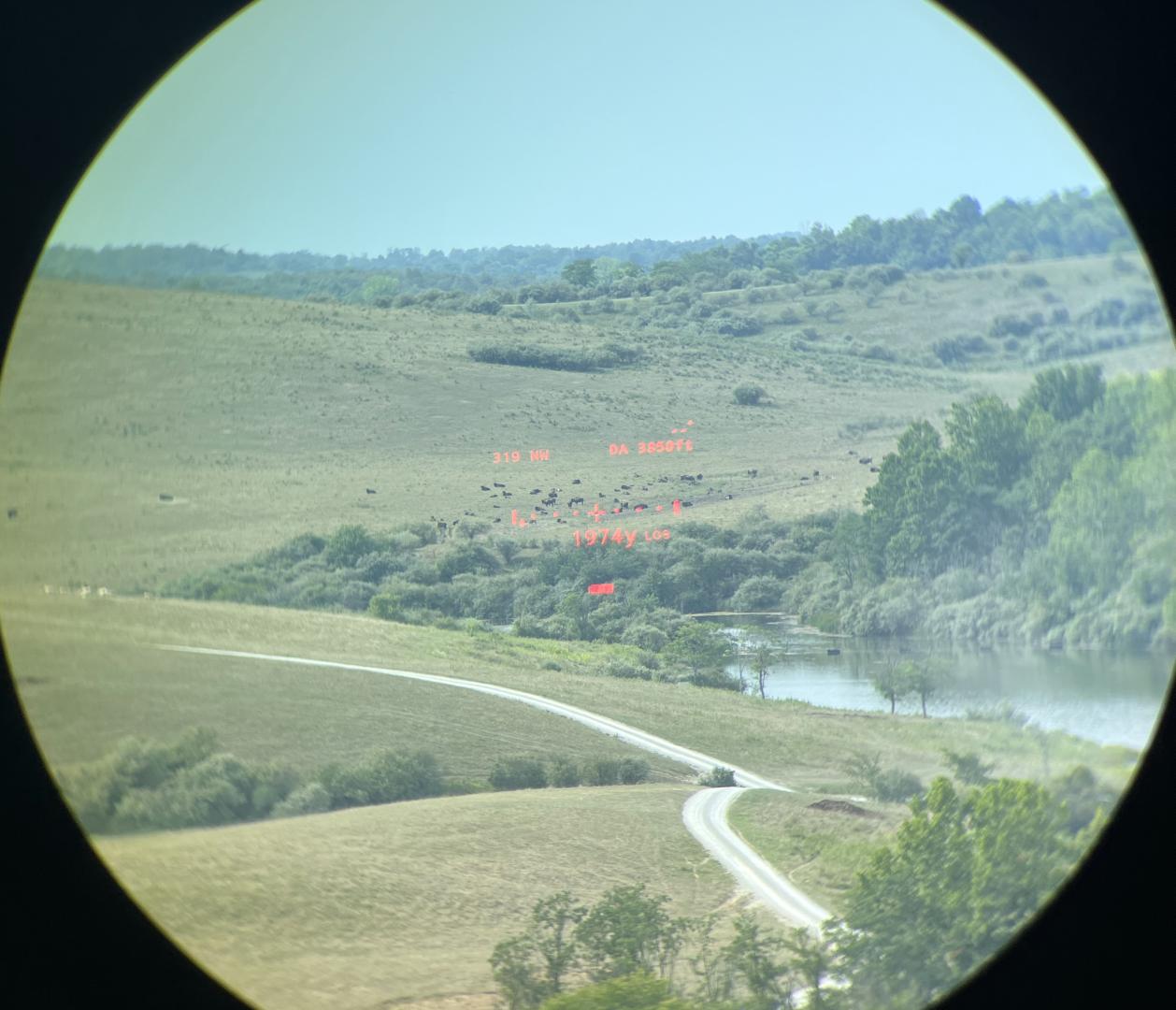 Ranging bison @1974yds in very difficult conditions with the Sig Kilo10k-ABS Gen II Laser Rangefinding Binoculars