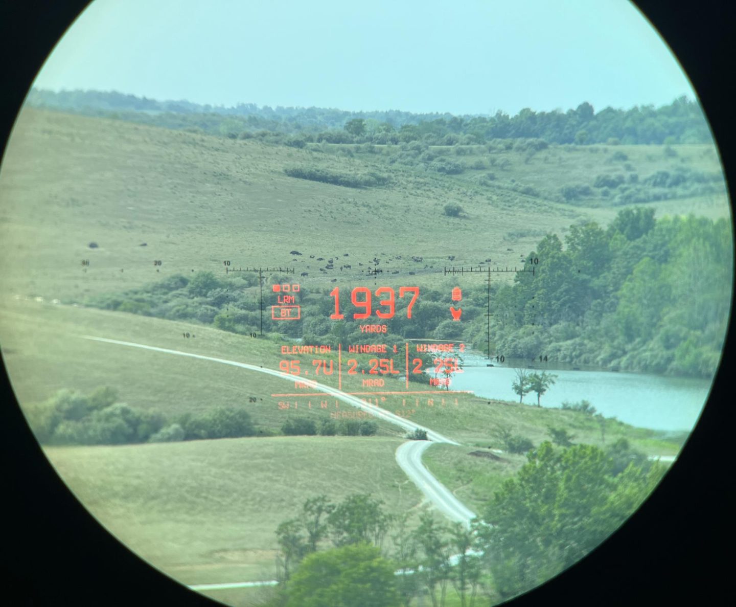 Ranging a bison at 1,937 yards on the Vectronix Vector X