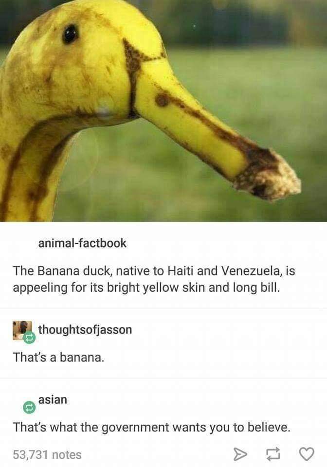141712846_872239403608053_320963483084304176_n.jpg