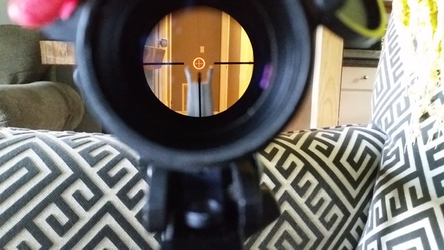 LPVO vs Prism Scope - Which one I choose and why 