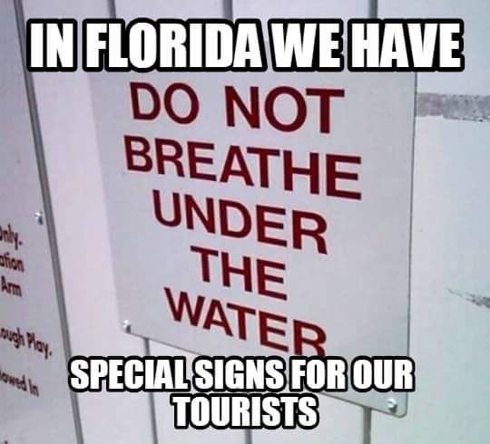 4e7011a0e6a6c28d334b2dba69d40324--florida-meme-sunshine-state.jpg