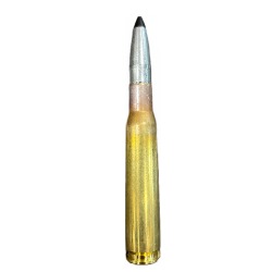 Swiss P Training SX .50 BMG Ammo - Jacketed Soft Core - 10 Rds