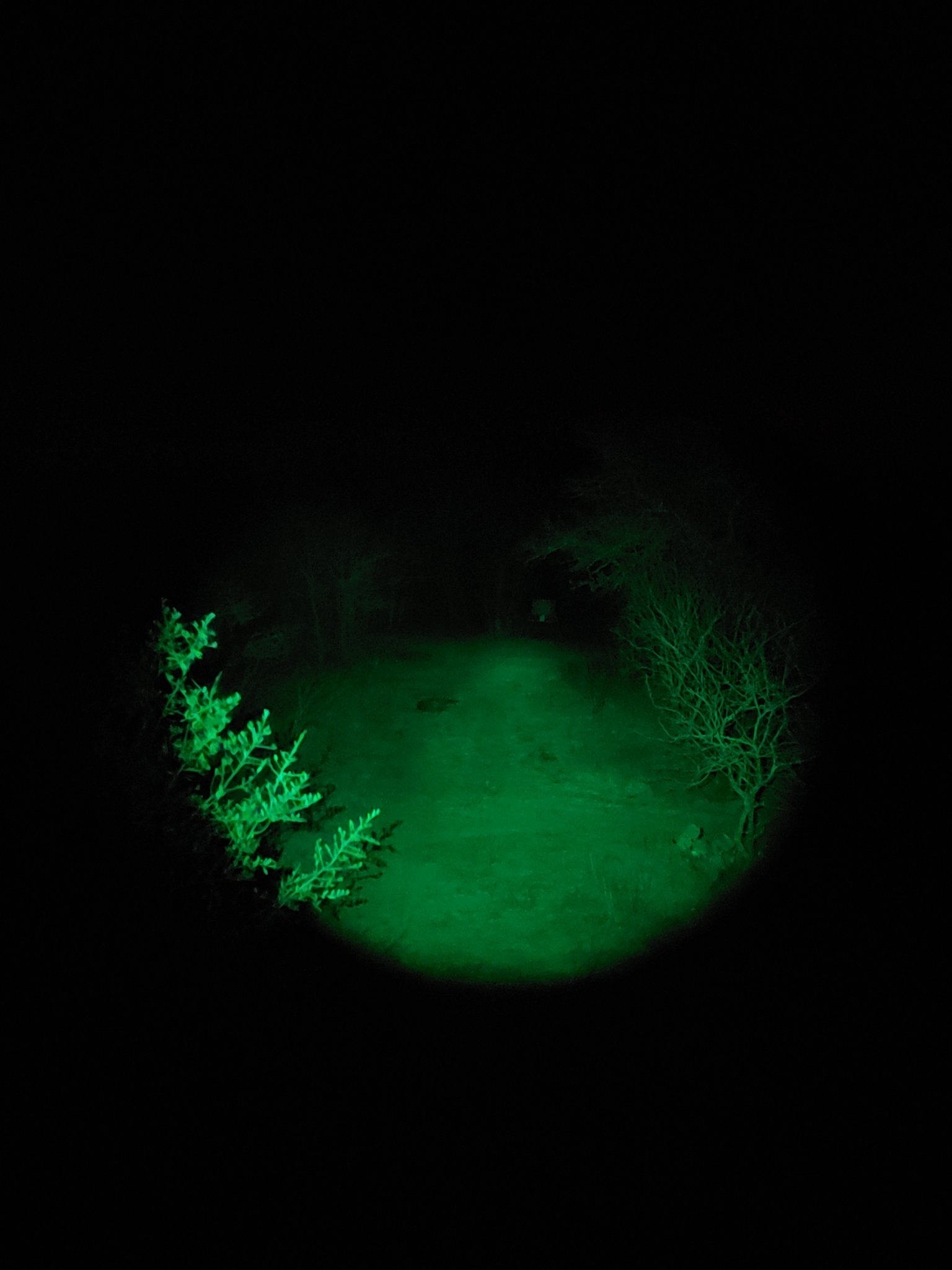 Coon Lights - Coyote Reaper® Shoot & Scan Combo