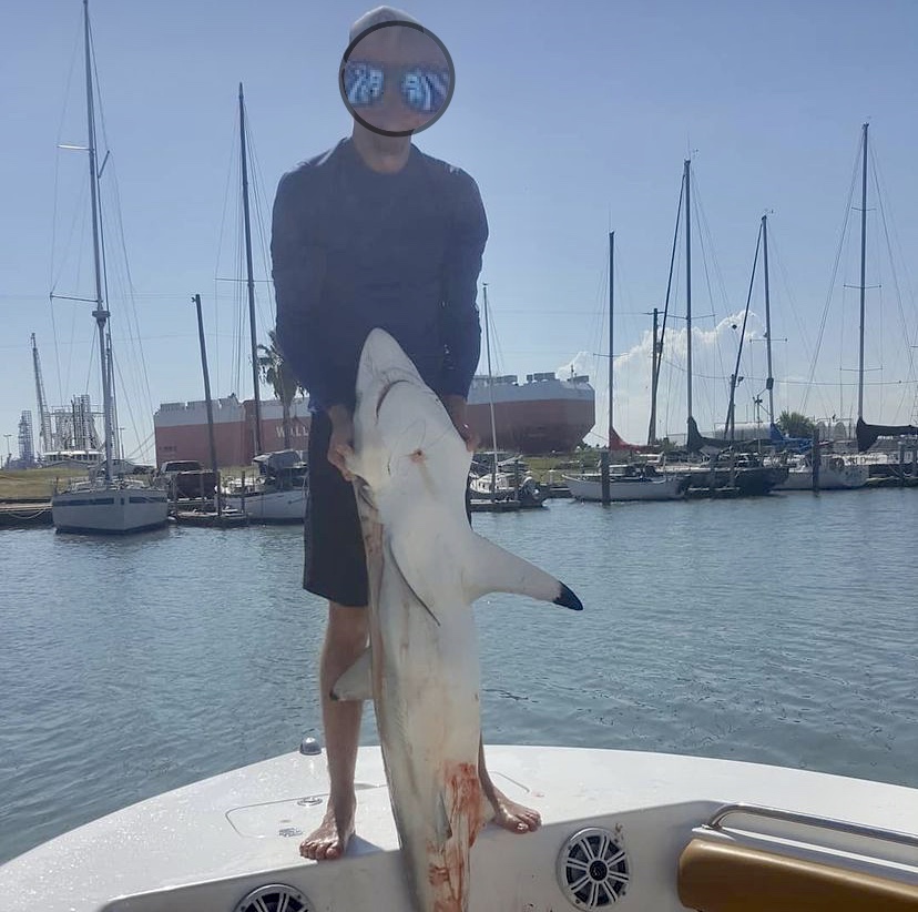 Need rod advice for sharks from the surf - The Hull Truth - Boating and  Fishing Forum