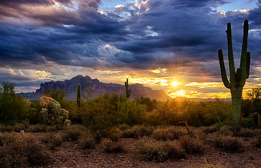 a-sonoran-desert-sunrise-saija-lehtonen.jpg