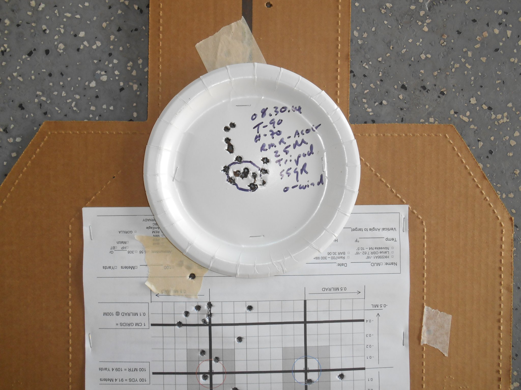 ACOG & RMR Zeroed Targets 08.30.14 copy 2.JPG