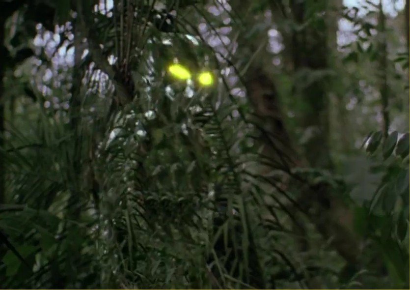 Alien_Predator_Adaptive_Camouflage_Cloaking_Technology_2_Cropped1.jpg