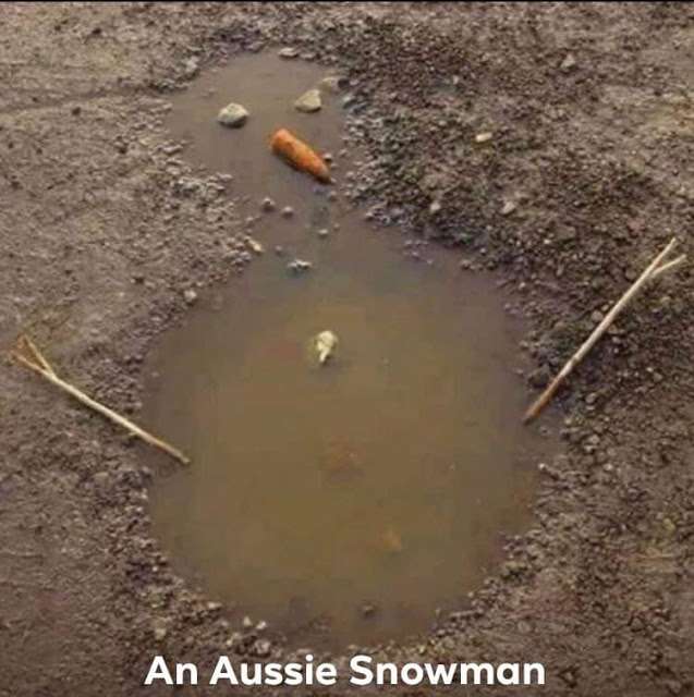 aussie snowman.jpg