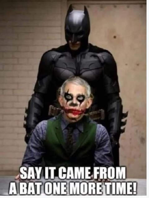 batman-joker-dr-fauci-say-came-from-bat-one-more-time.jpeg