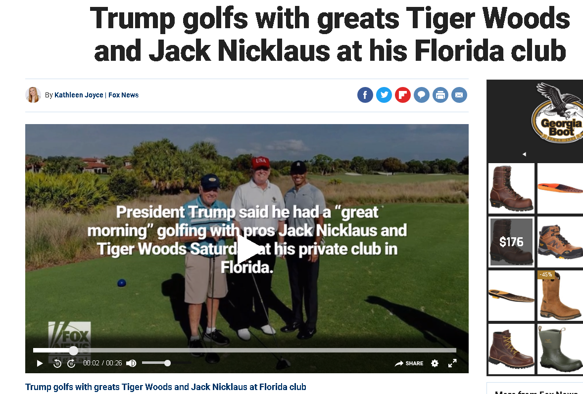 Bear Trump Tiger.png