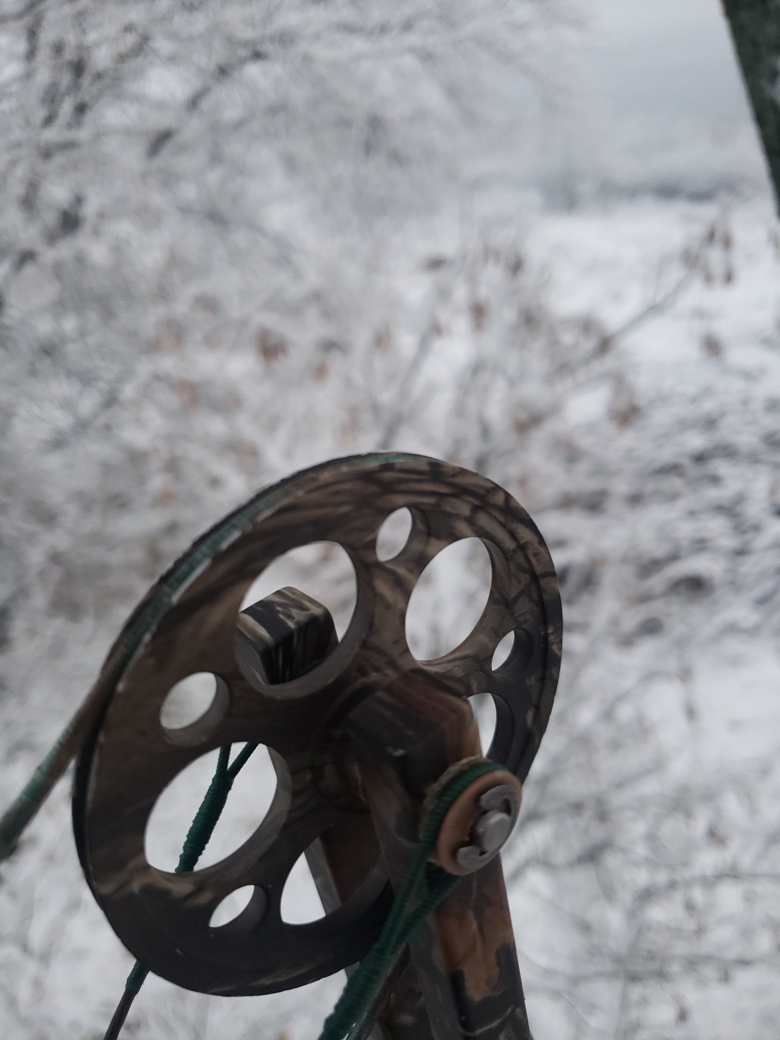 Bow Cam in Snow.jpg