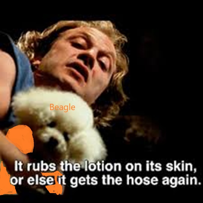 buffalo bill2.jpg