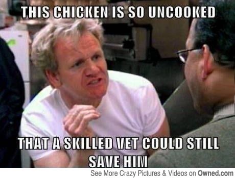 c75b1a6a05c8e767f42e3e32d1d361b7--chefs-so-funny.jpg