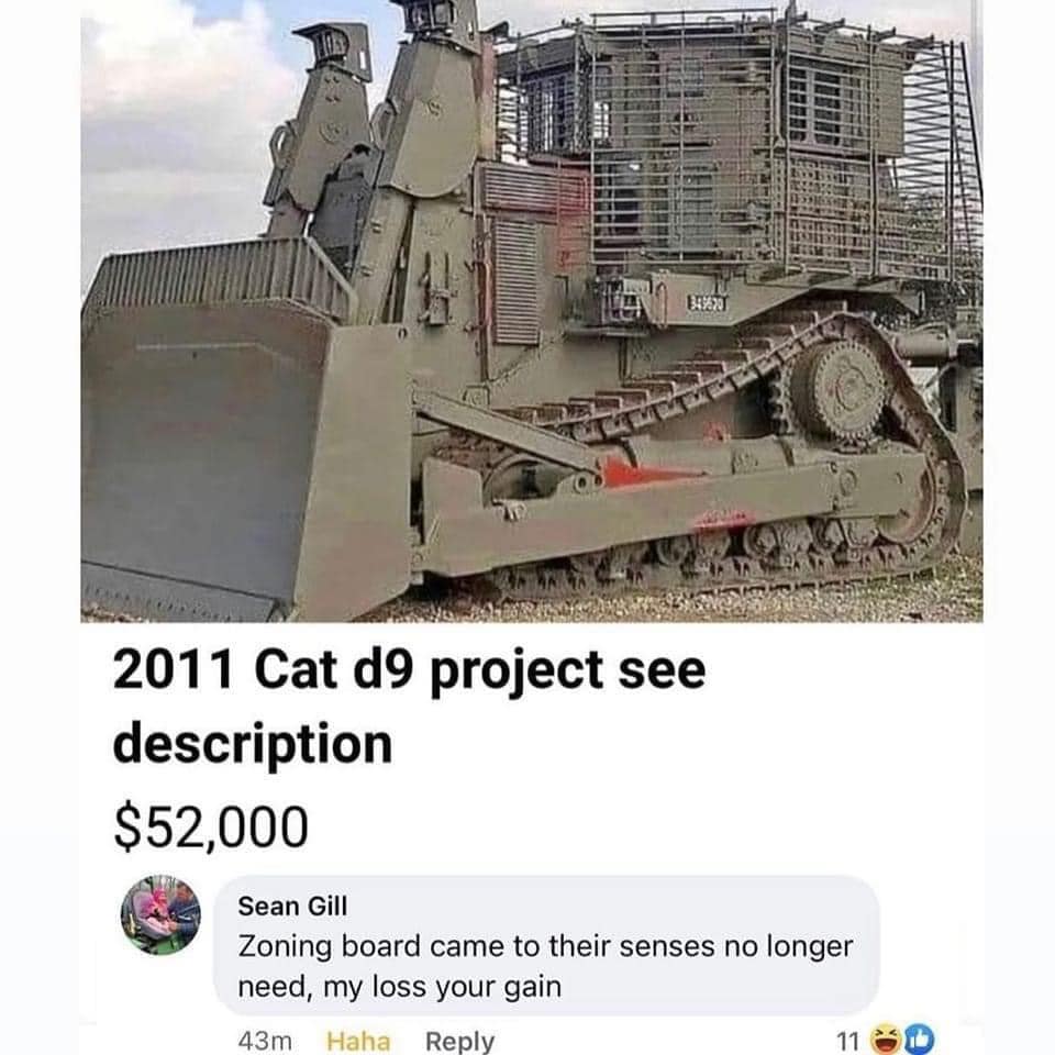 cat d9.jpg