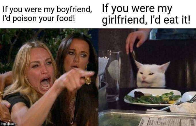 cat food.jpg