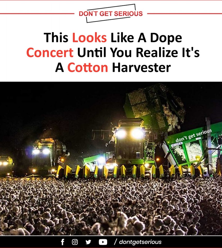 concert.jpg