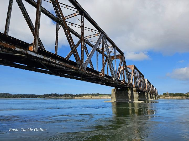 Coos Bay Bridge.jpg