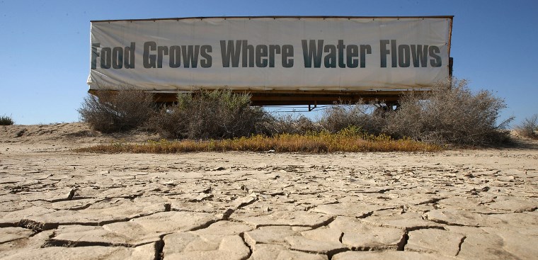 crops_grow_where_water_flows_0.jpg