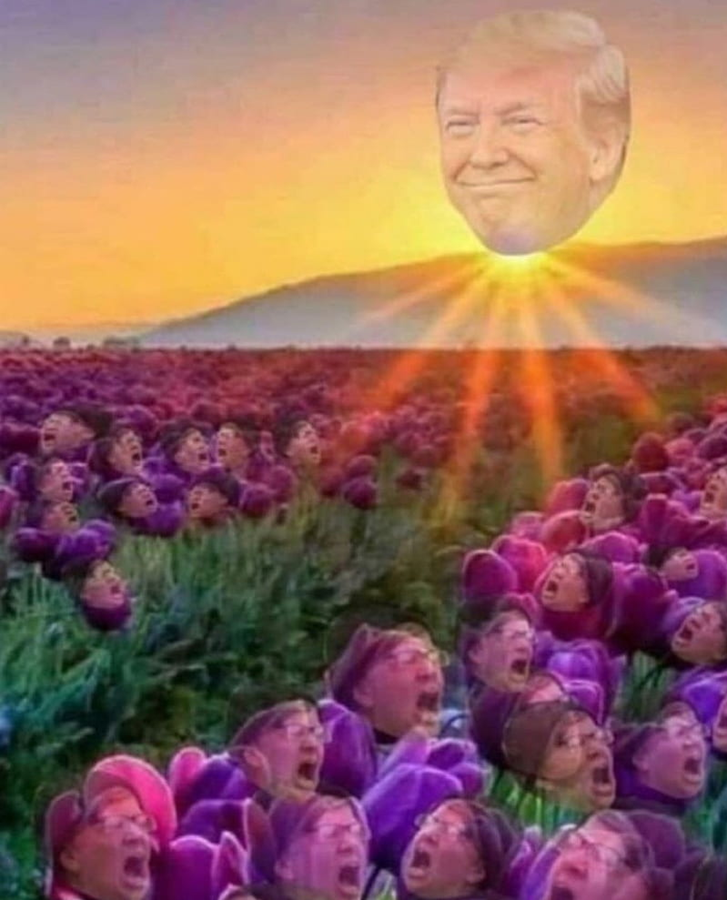 Crynig liberal flowers.png