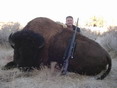 dad's bison avatar.jpg