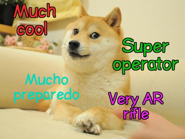 Doge 04042022102950.jpg