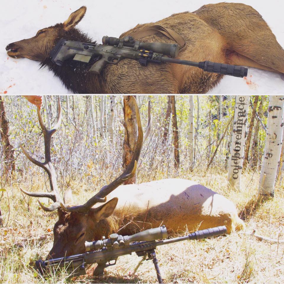 elk.jpg