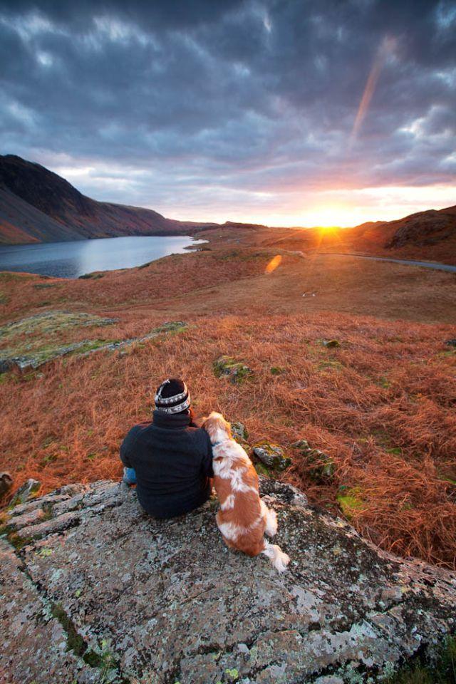 fall sunrise with dog.jpeg