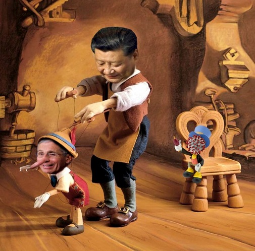 fauci-china-puppet-covid-coronavirus-pinochio.jpeg