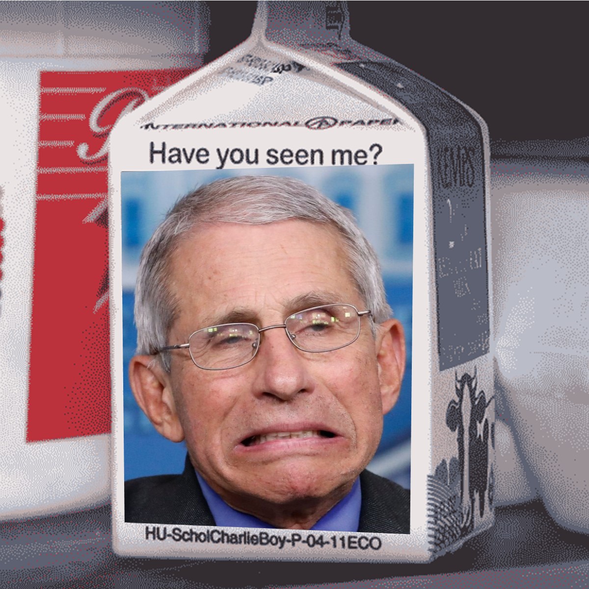 Fauci Missing.jpg