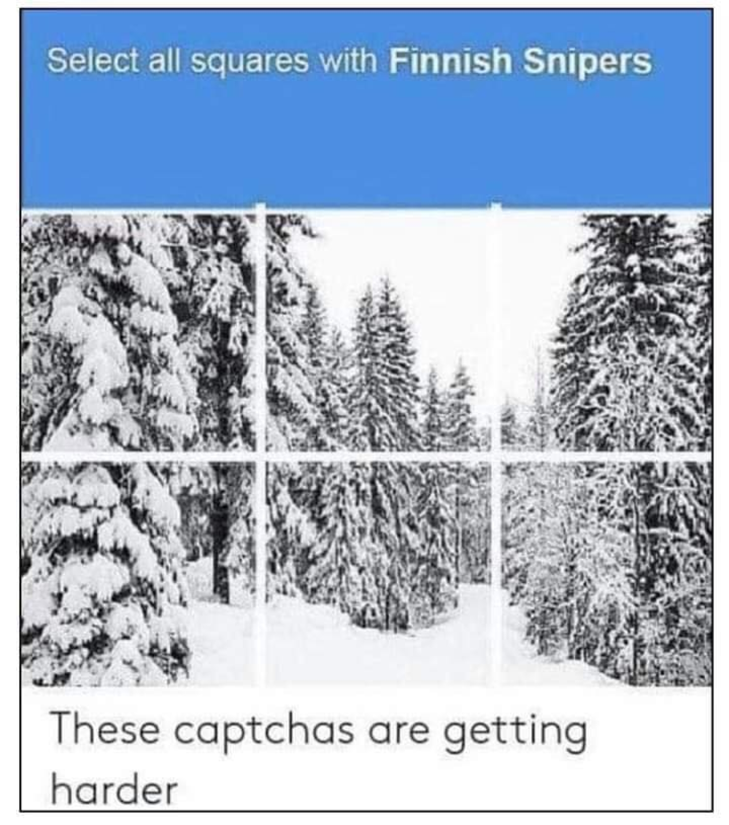 Найдите на картинке финских снайперов