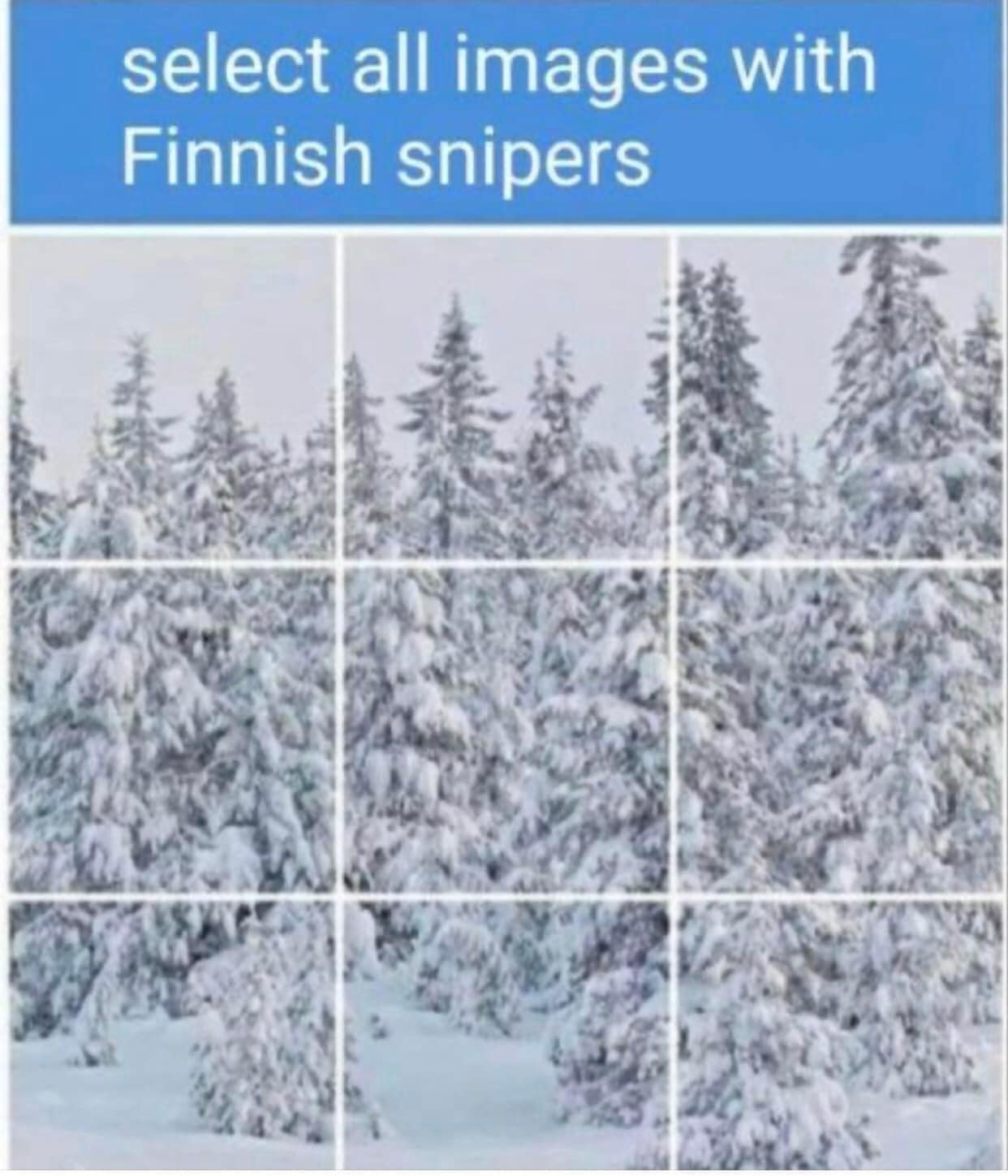 finnish.jpg