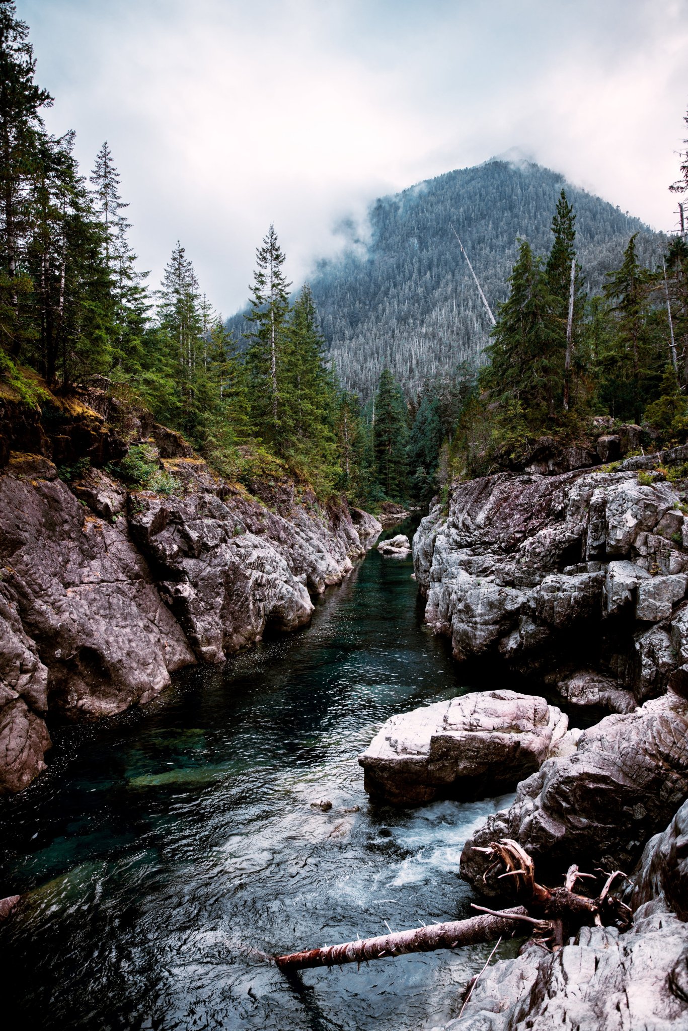 freshwater-mountain-creek.jpg