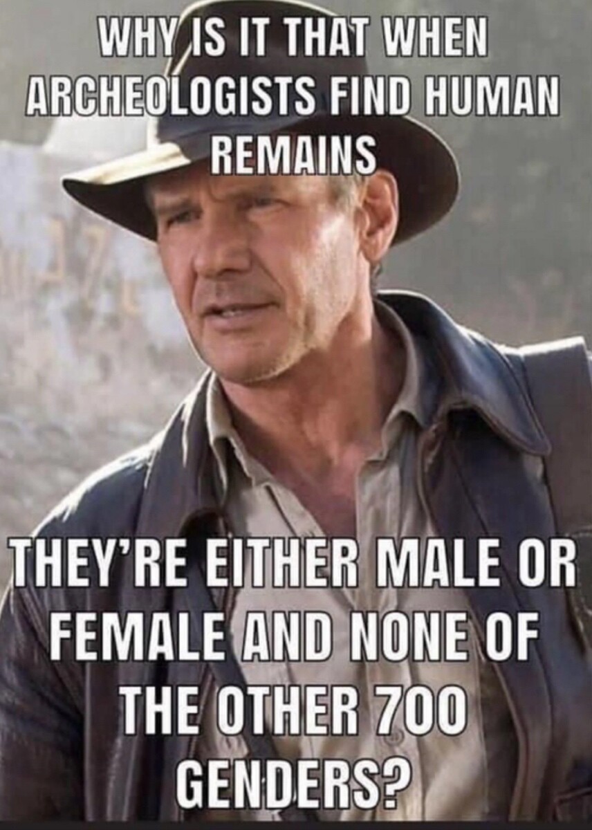 genders-meme.jpg