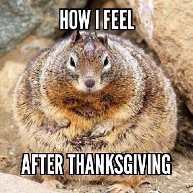 how_i_feel_after_thanksgiving.jpg