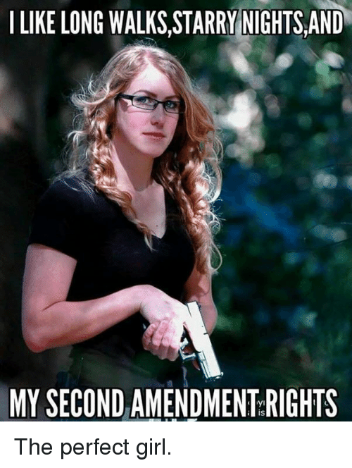 i-like-long-walks-starry-nights-and-my-second-amendment-rights-21432111.png