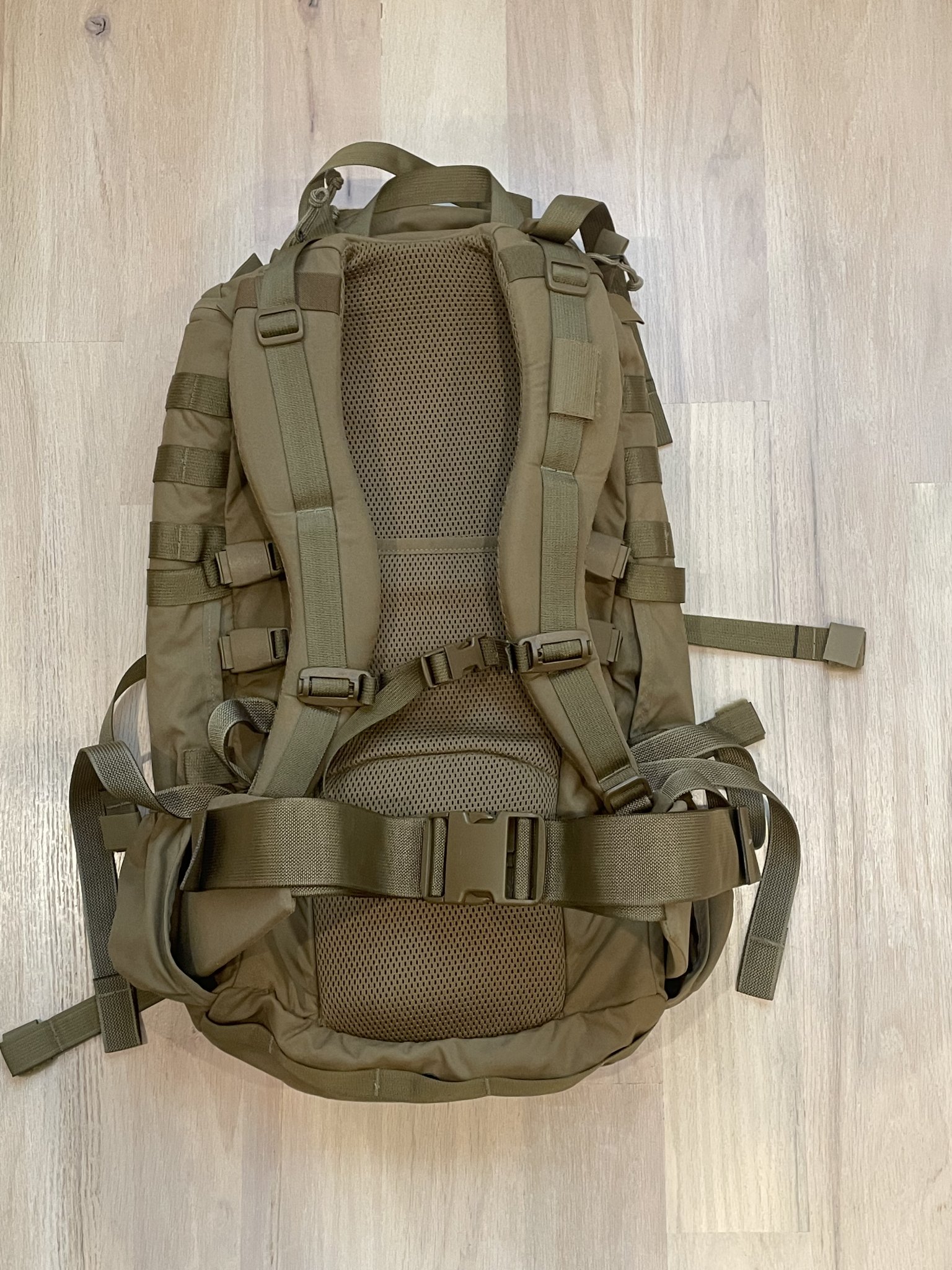 Komodo dragon outlet backpack