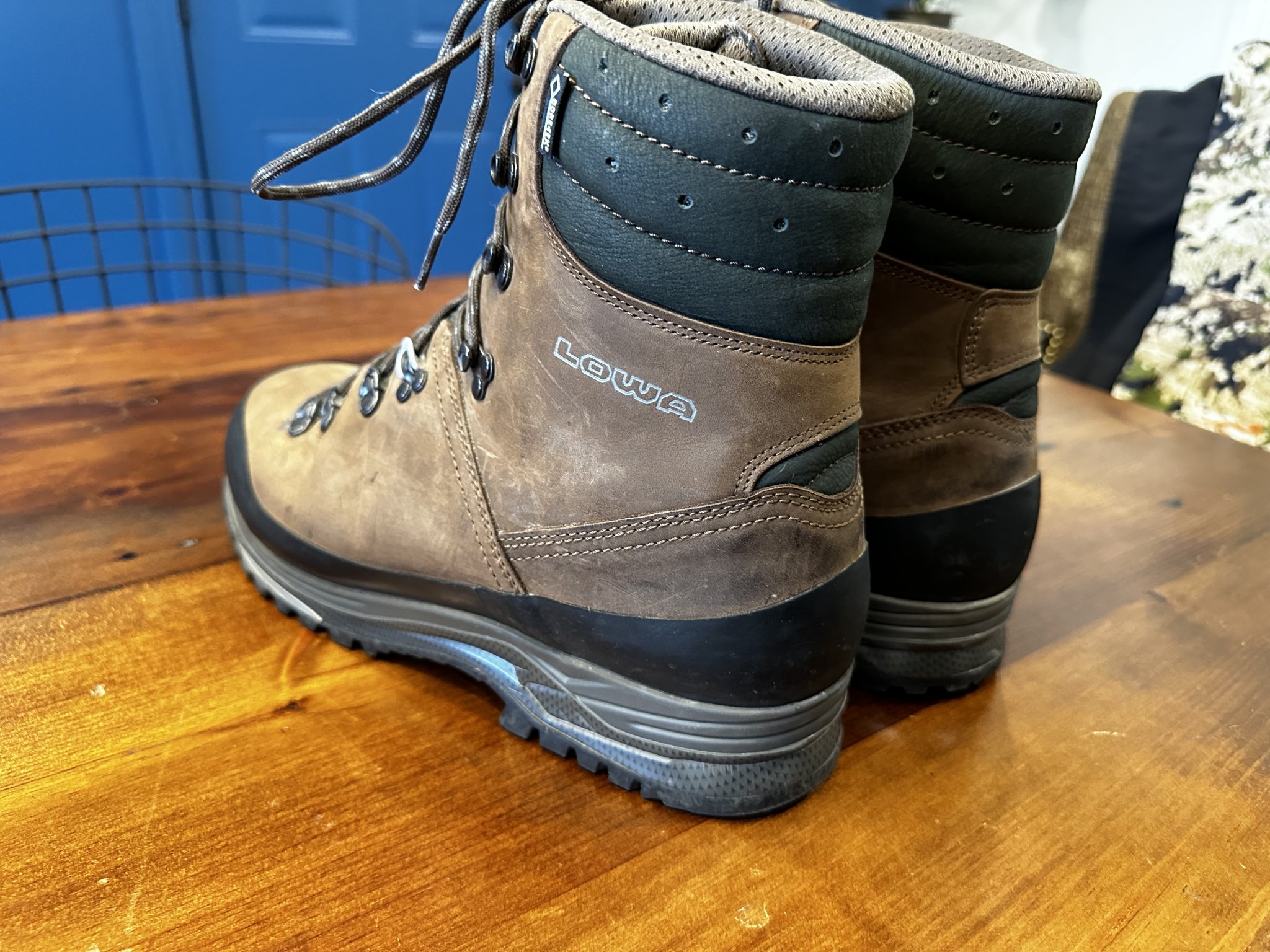 Lowa bighorn discount hunter gtx