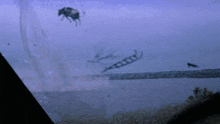 IMG_6576.gif