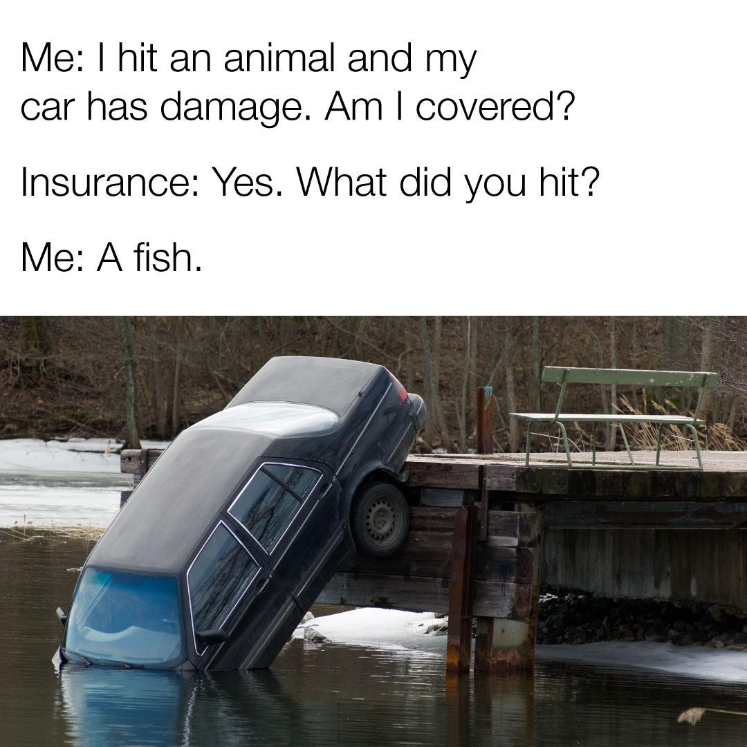 insurance.jpg