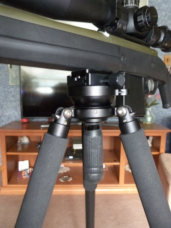 Tripod stands  North Carolina Hunting and Fishing Forums