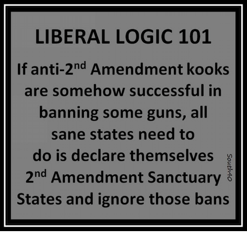 liberal-logic-101-if-anti-2nd-amendment-kooks-are-somehow-successful-31517362.png