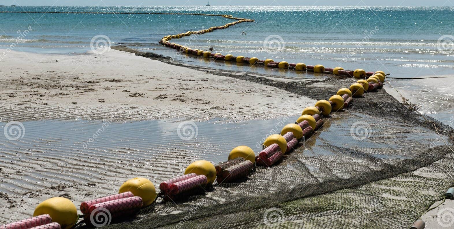 low-tide-beach-bouy-line-swimming-area-haad-rin-koh-phangan-thailand-clear-blue-sea-beautiful-...jpg