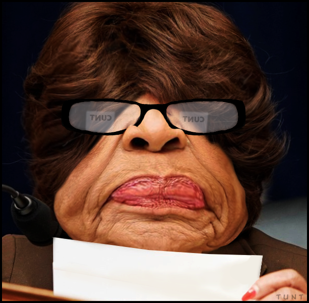 Maxine Waters.png