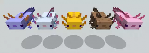 Minecraft-axolotl-colour-variants-600x216.png