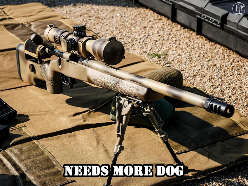 needs_more_dog.png