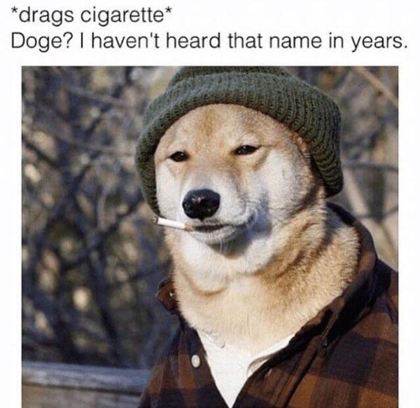 old-doge.jpg