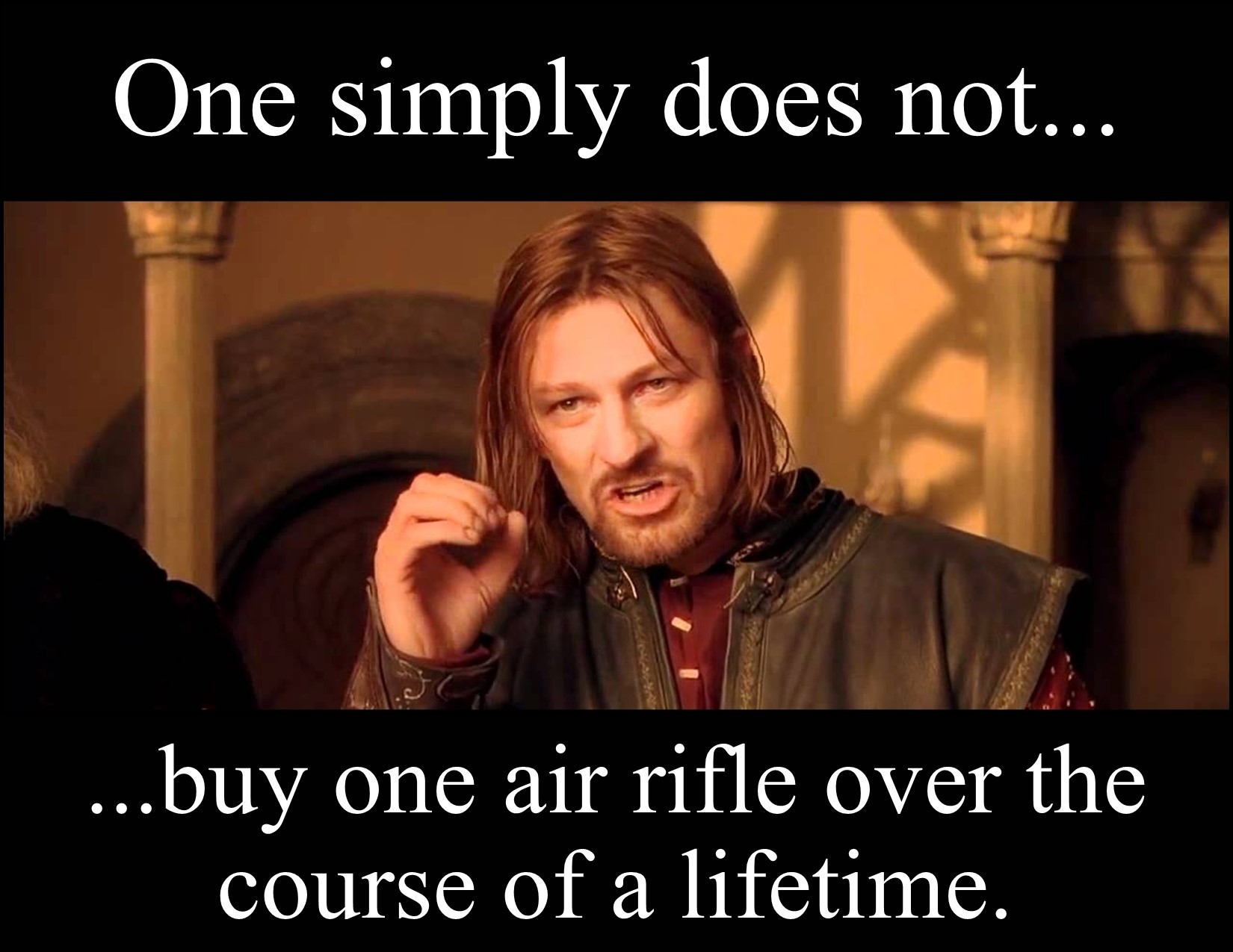 One Simply Does Not Buy One Air Rifle.jpg