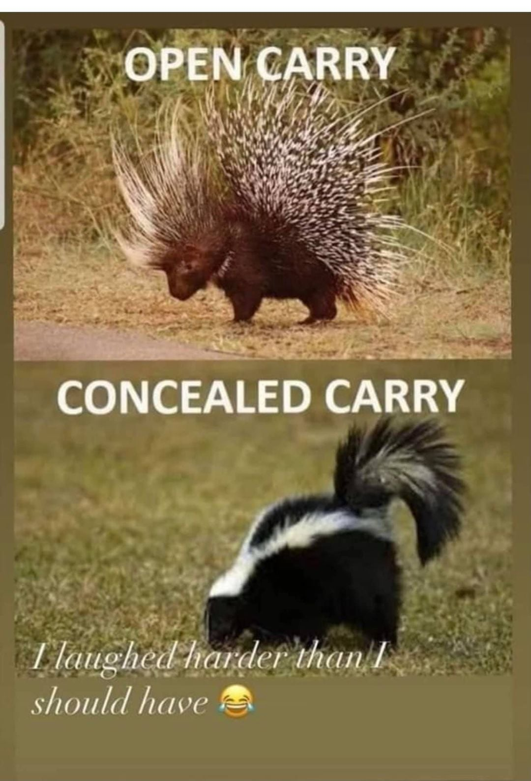 Open Carry Vs Concealed Carry.png