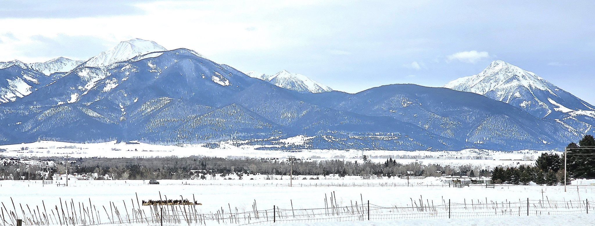 panoramic elk.jpg