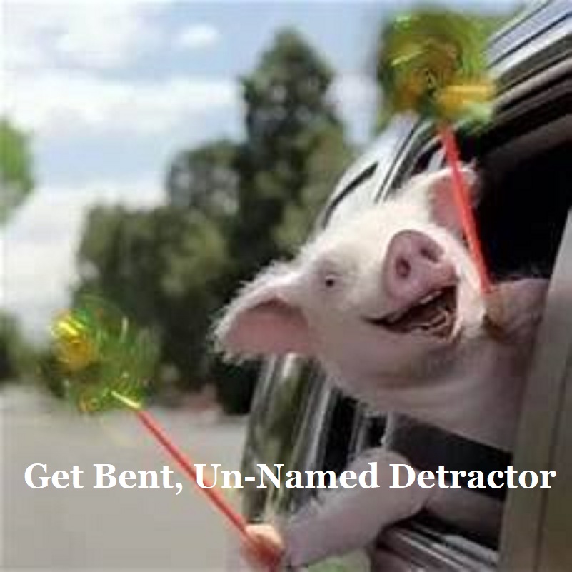 pig detractor.jpg